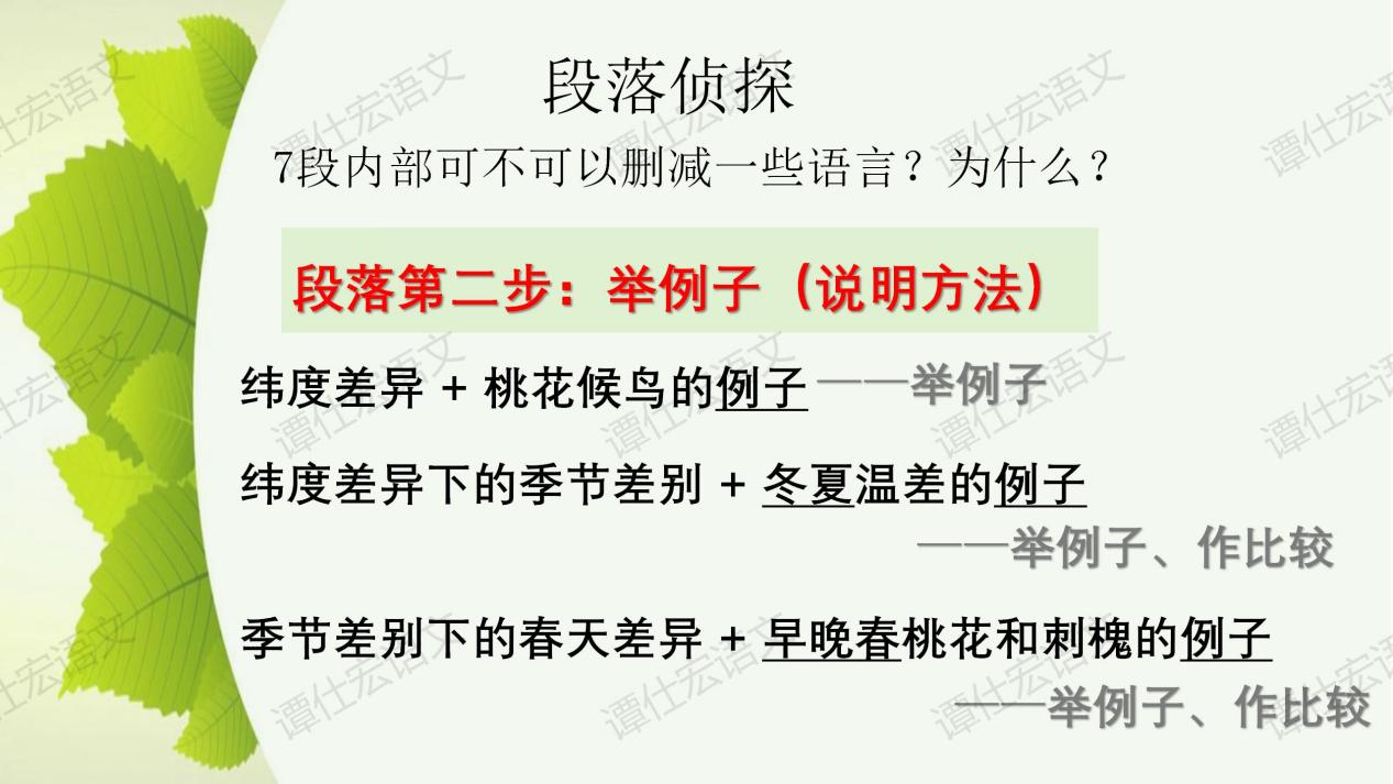 课件：《大自然的语言》课件_11