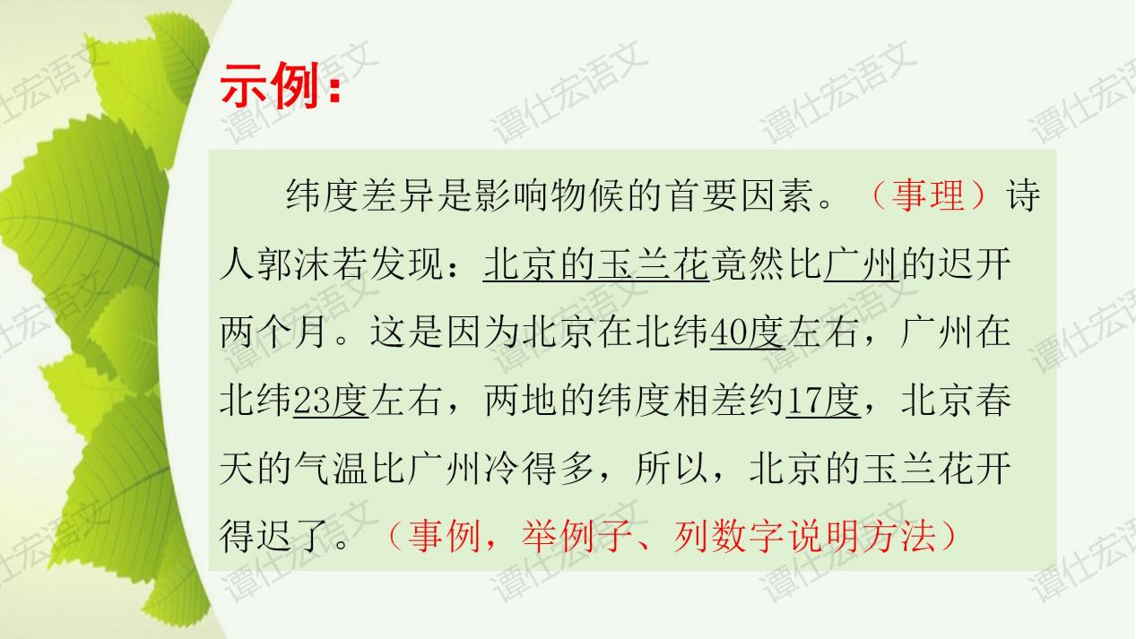 课件：《大自然的语言》课件_18