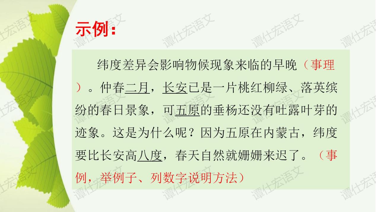 课件：《大自然的语言》课件_20