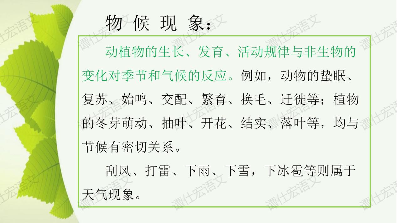 课件：《大自然的语言》课件_05