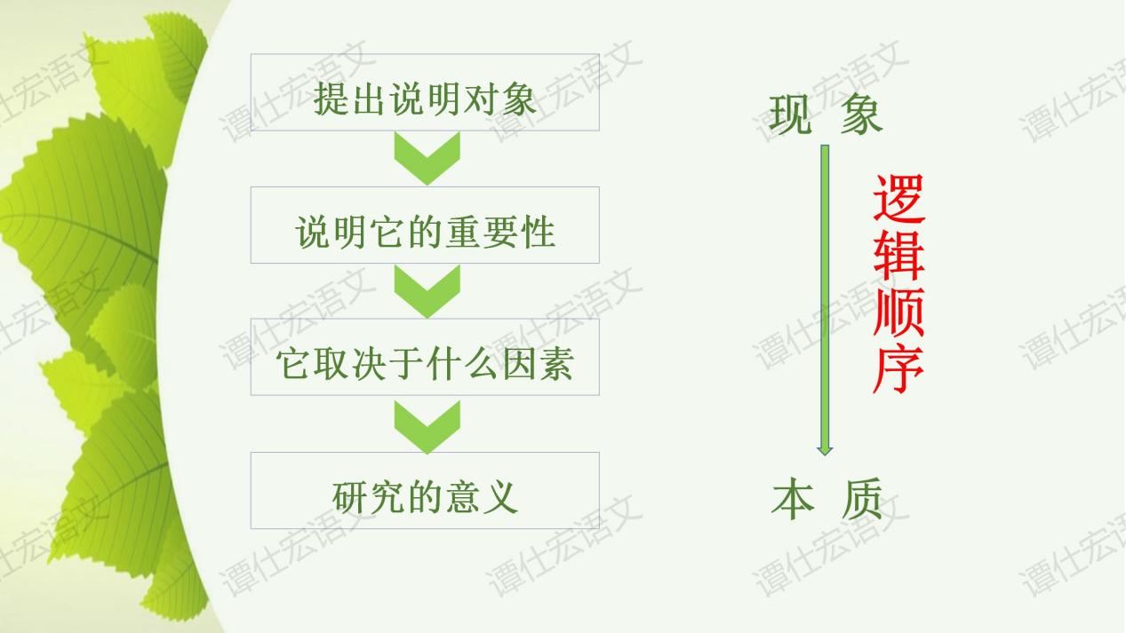 课件：《大自然的语言》课件_07