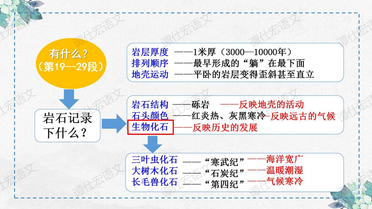 课件：时间无言，岩石有言—《时间的脚印》_08