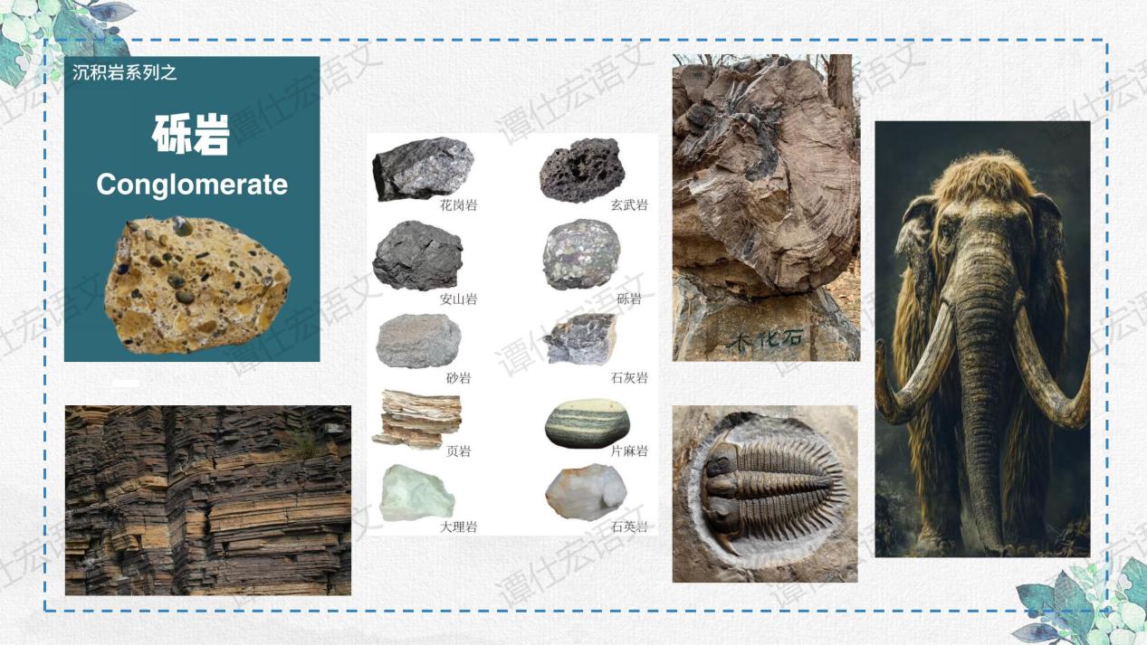 课件：时间无言，岩石有言—《时间的脚印》_09