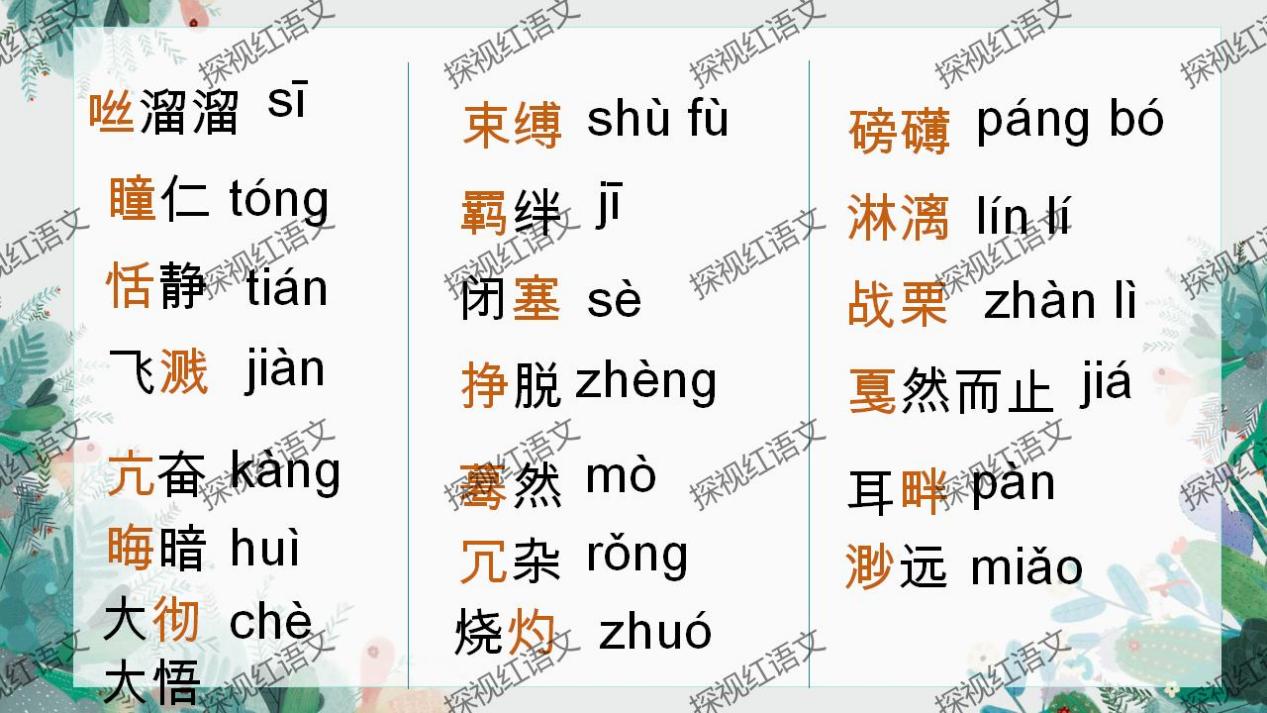 八下第一单元复习课件（词语+病句答题思路）_09