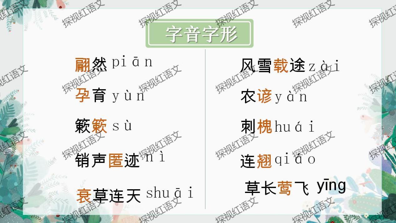 八下第二单元复习课件（标点+语序答题思路）_03