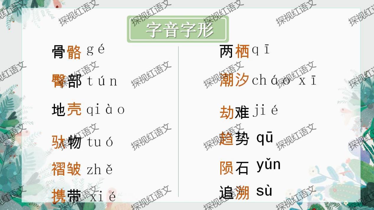 八下第二单元复习课件（标点+语序答题思路）_09